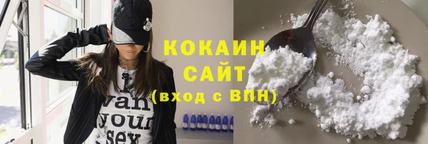 меф Няндома