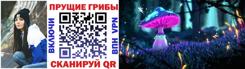 omg сайт  Трубчевск  Галлюциногенные грибы GOLDEN TEACHER 